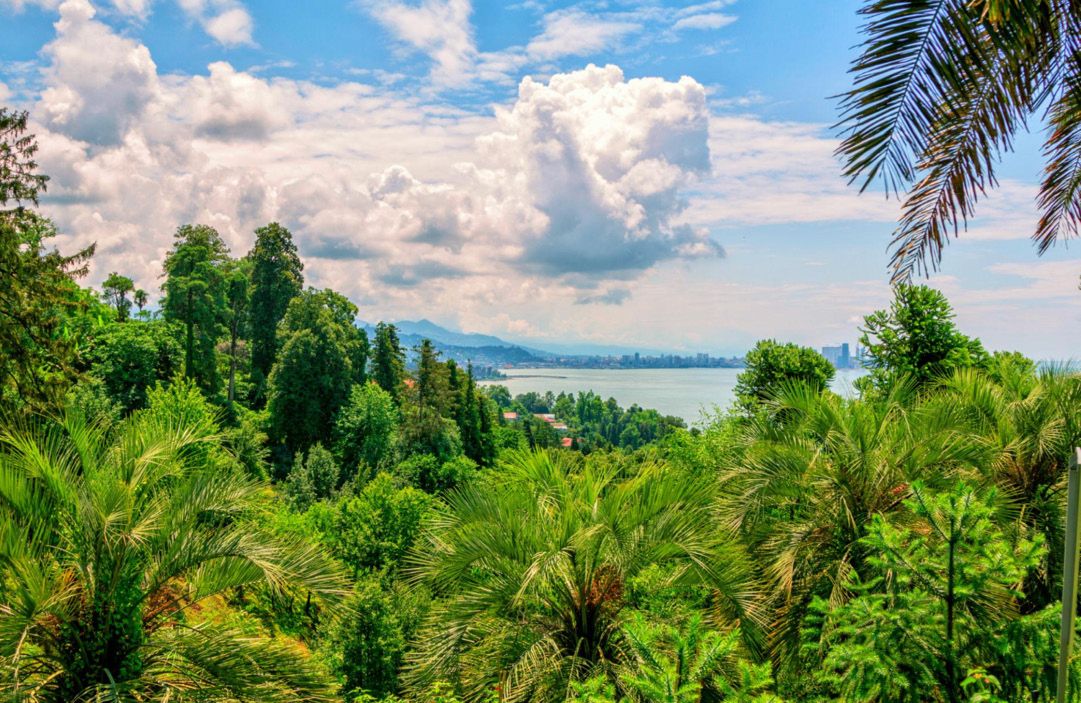 Subtropische Vegetation mit Blick auf das Schwarze Meer