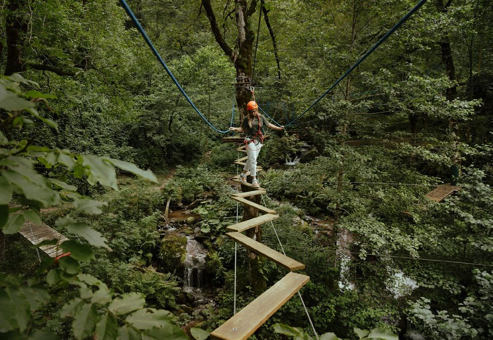 Hängesteg durch den kolchischen Regenwald