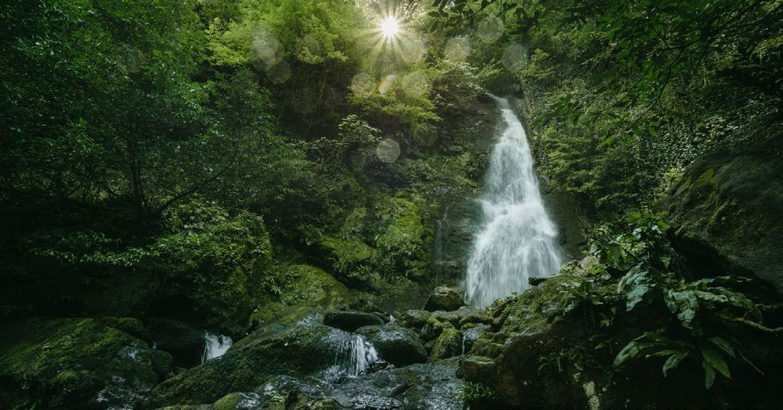 Wasserfall im dichten Grün des Mtirala-Nationalparks